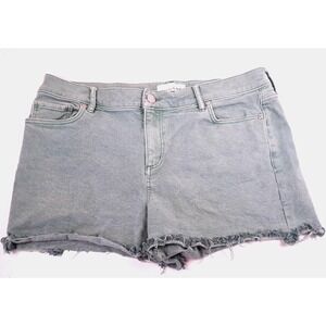 LOFT Jean Shorts Women's 30 x 10 Cut Off‎ Denim Distressed Sage Green